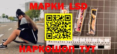 крисы Можга