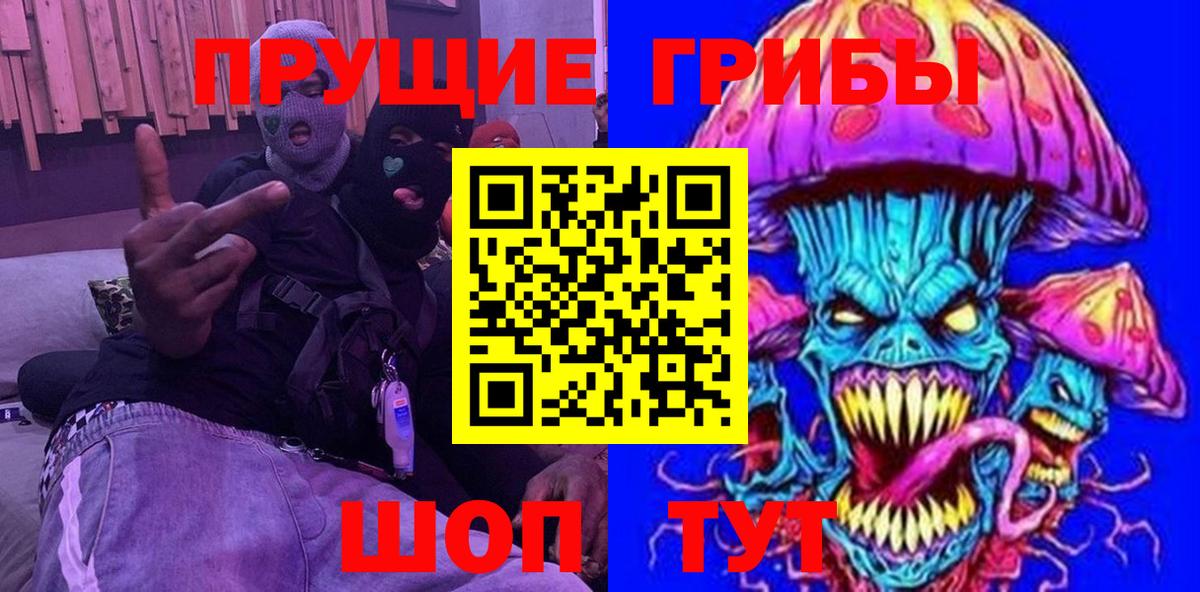 Галлюциногенные грибы Psilocybe Сосновоборск