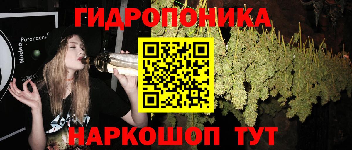 Канабис тримм  Конопля White Widow  Вход с VPN  Сосновоборск  Марихуана White Widow 